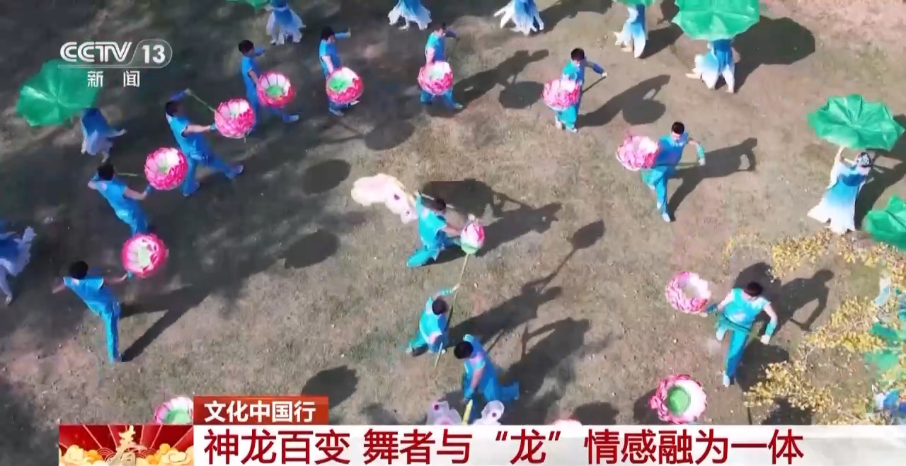 龙、百叶龙……来看不拘一格的龙舞之美不朽情缘首页文化中国行丨火龙、板凳(图16)